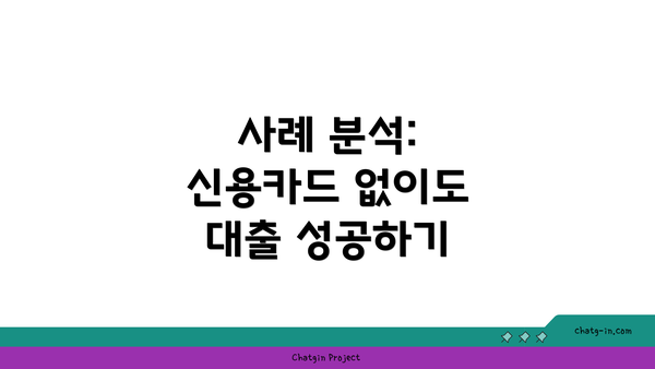 사례 분석: 신용카드 없이도 대출 성공하기