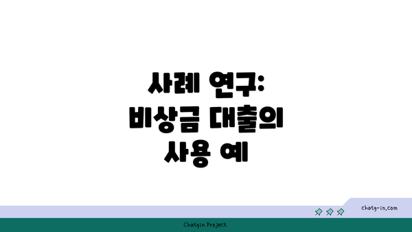 사례 연구: 비상금 대출의 사용 예