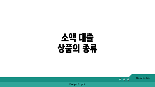 소액 대출 상품의 종류