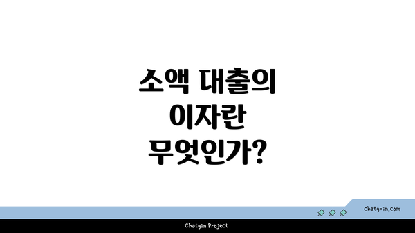 소액 대출의 이자란 무엇인가?