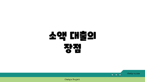 소액 대출의 장점