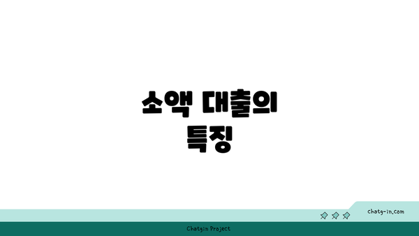 소액 대출의 특징