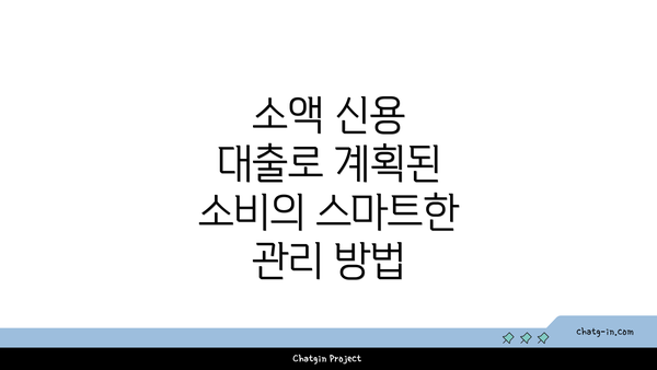 소액 신용 대출로 계획된 소비의 스마트한 관리 방법
