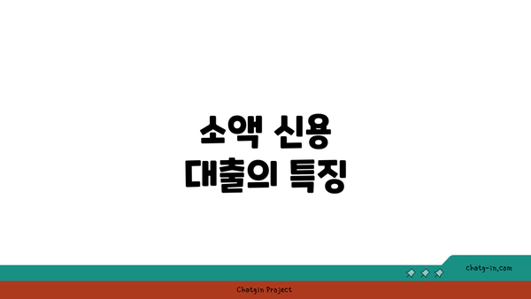 소액 신용 대출의 특징