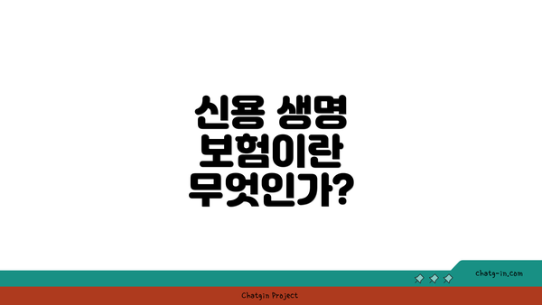 신용 생명 보험이란 무엇인가?