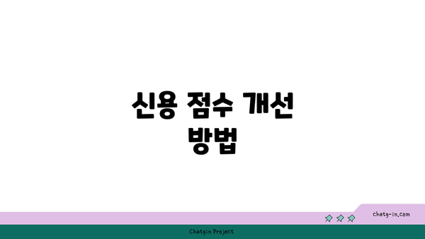신용 점수 개선 방법