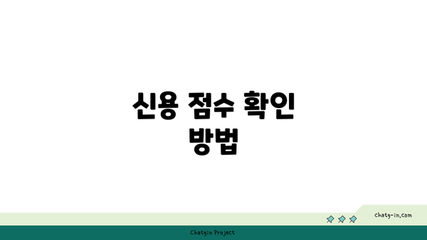 신용 점수 확인 방법
