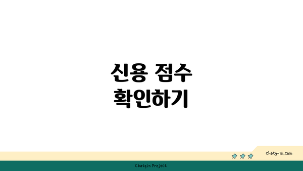 신용 점수 확인하기