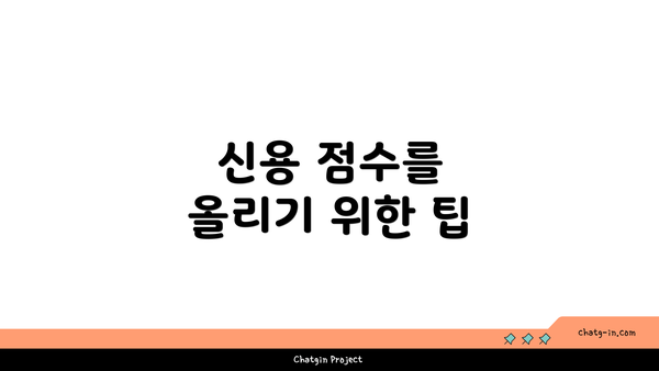 신용 점수를 올리기 위한 팁