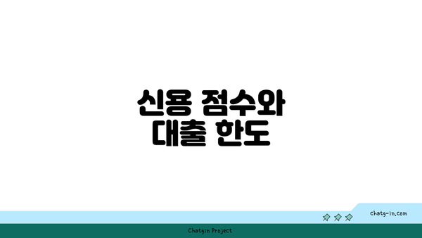 신용 점수와 대출 한도