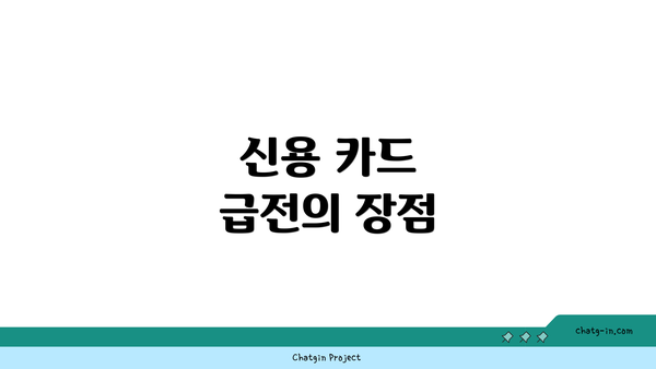 신용 카드 급전의 장점