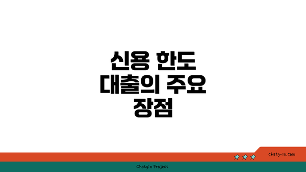 신용 한도 대출의 주요 장점
