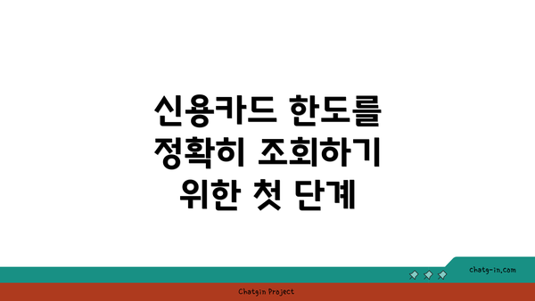신용카드 한도를 정확히 조회하기 위한 첫 단계