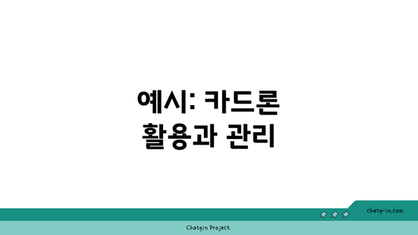 예시: 카드론 활용과 관리