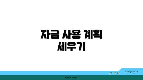 자금 사용 계획 세우기