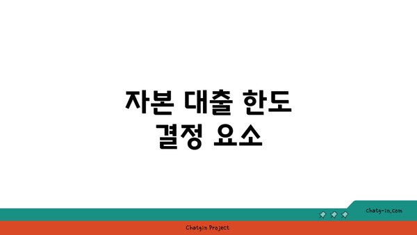 자본 대출 한도 결정 요소