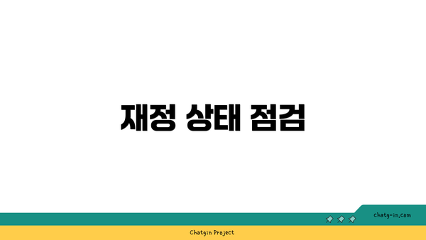 재정 상태 점검