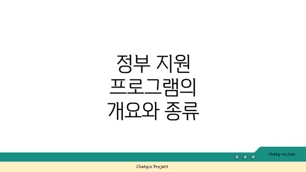 정부 지원 프로그램의 개요와 종류