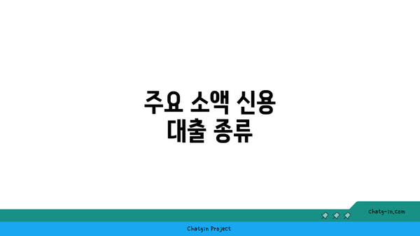 주요 소액 신용 대출 종류