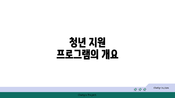 청년 지원 프로그램의 개요