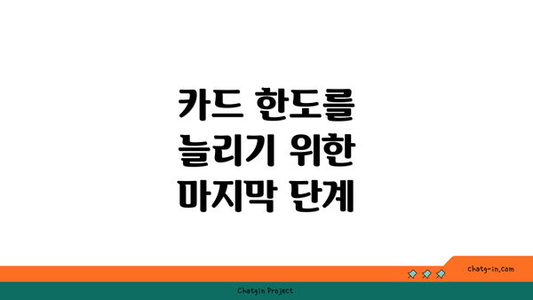 카드 한도를 늘리기 위한 마지막 단계