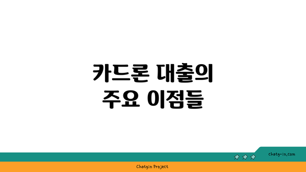 카드론 대출의 주요 이점들
