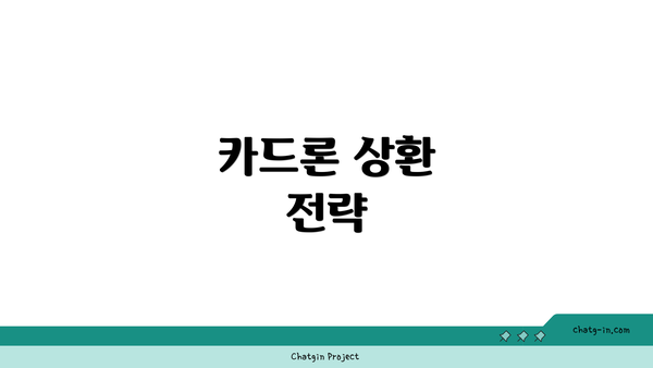 카드론 상환 전략