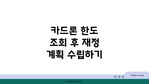 카드론 한도 조회 후 재정 계획 수립하기