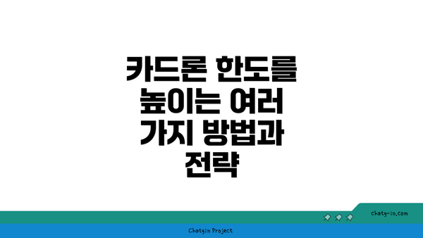 카드론 한도를 높이는 여러 가지 방법과 전략
