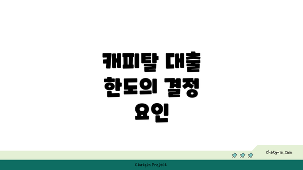 캐피탈 대출 한도의 결정 요인
