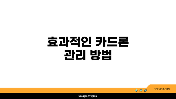 효과적인 카드론 관리 방법