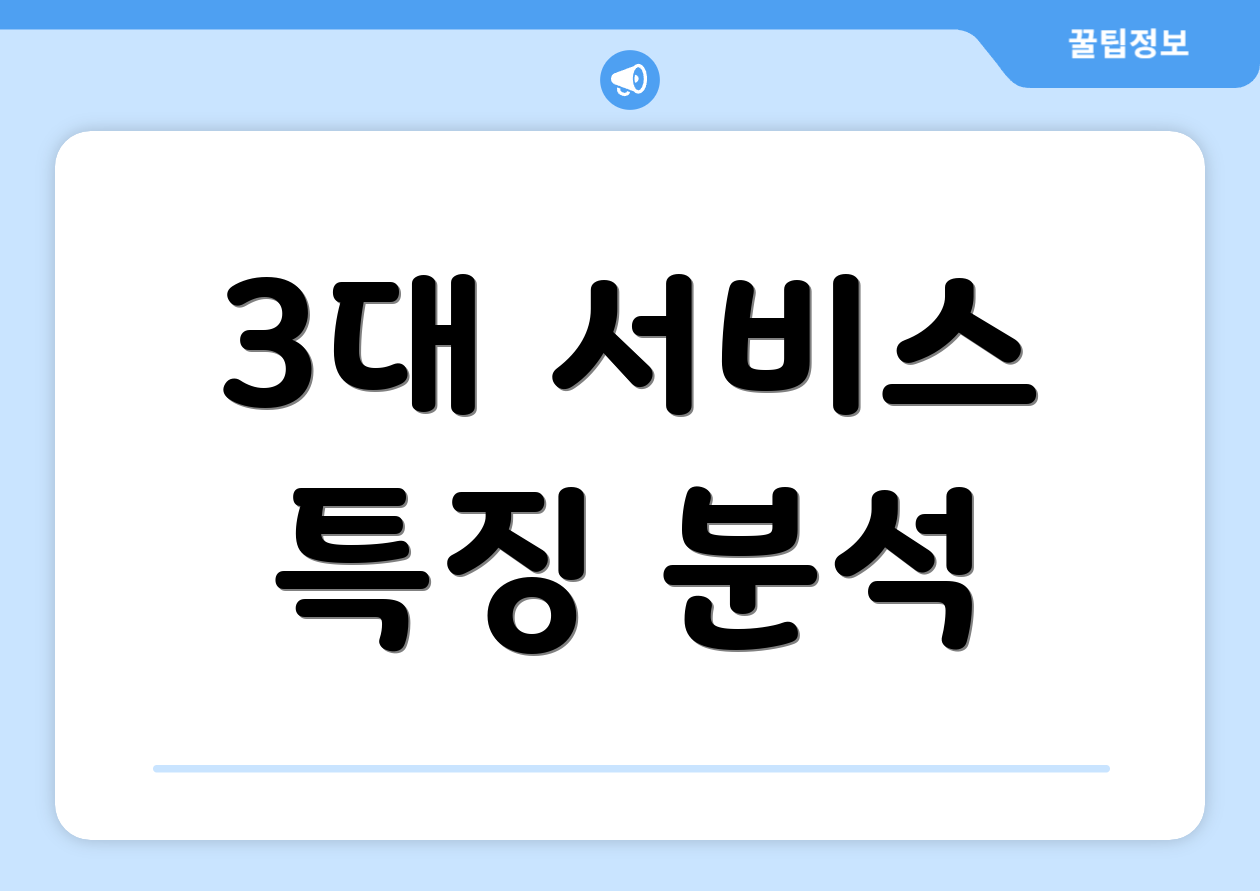 3대 서비스 특징 분석