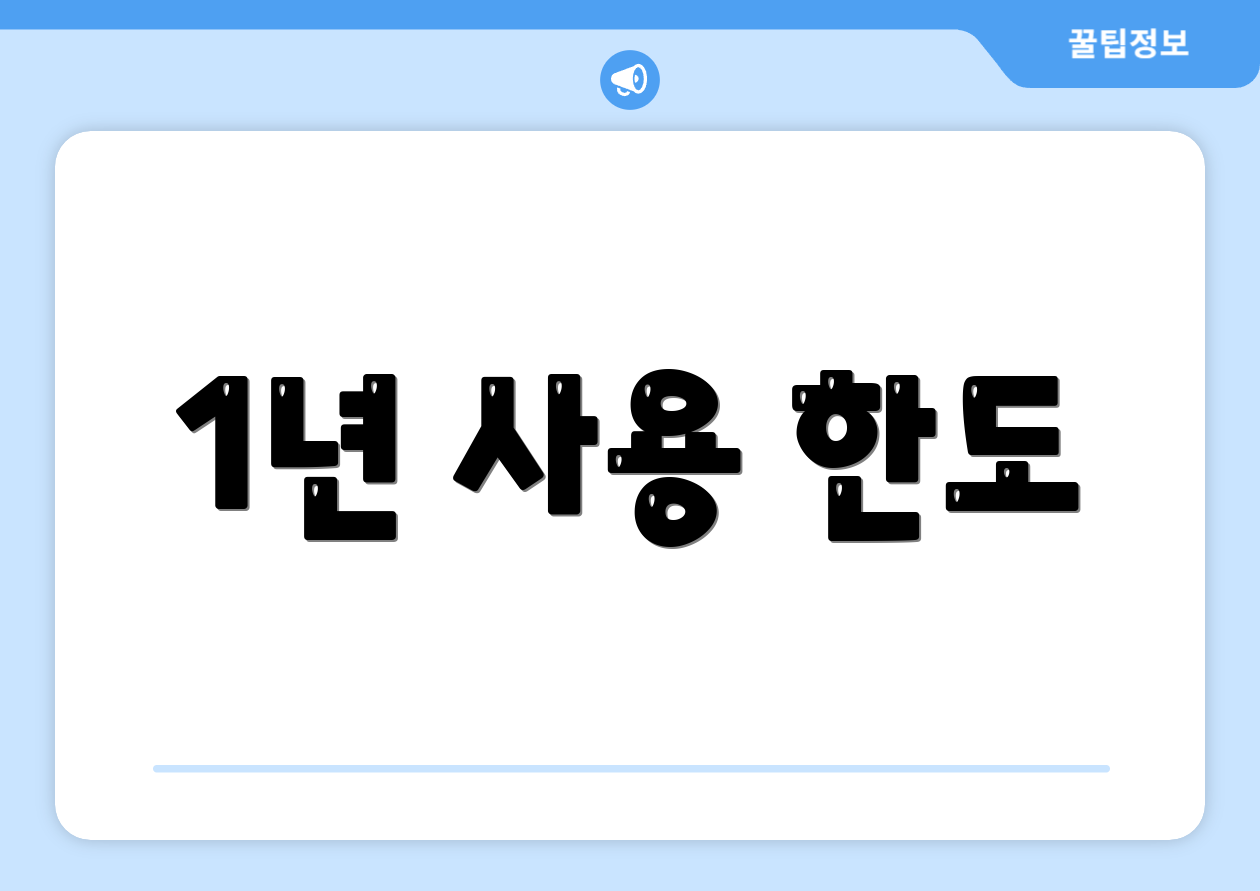 1년 사용 한도