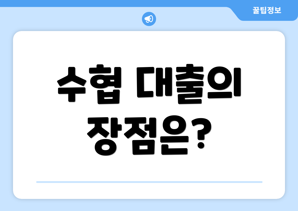 수협 대출의 장점은?