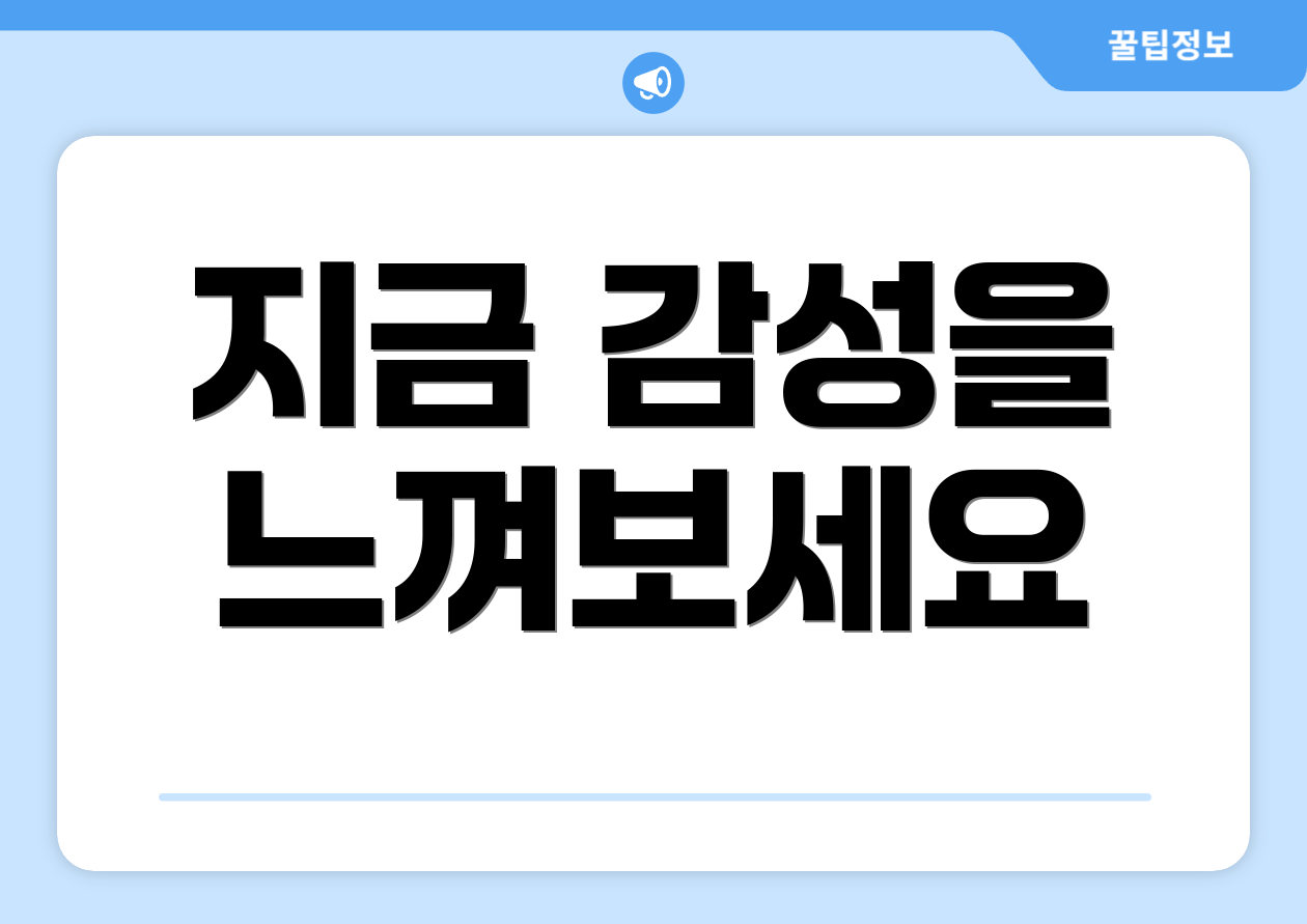 지금 감성을 느껴보세요