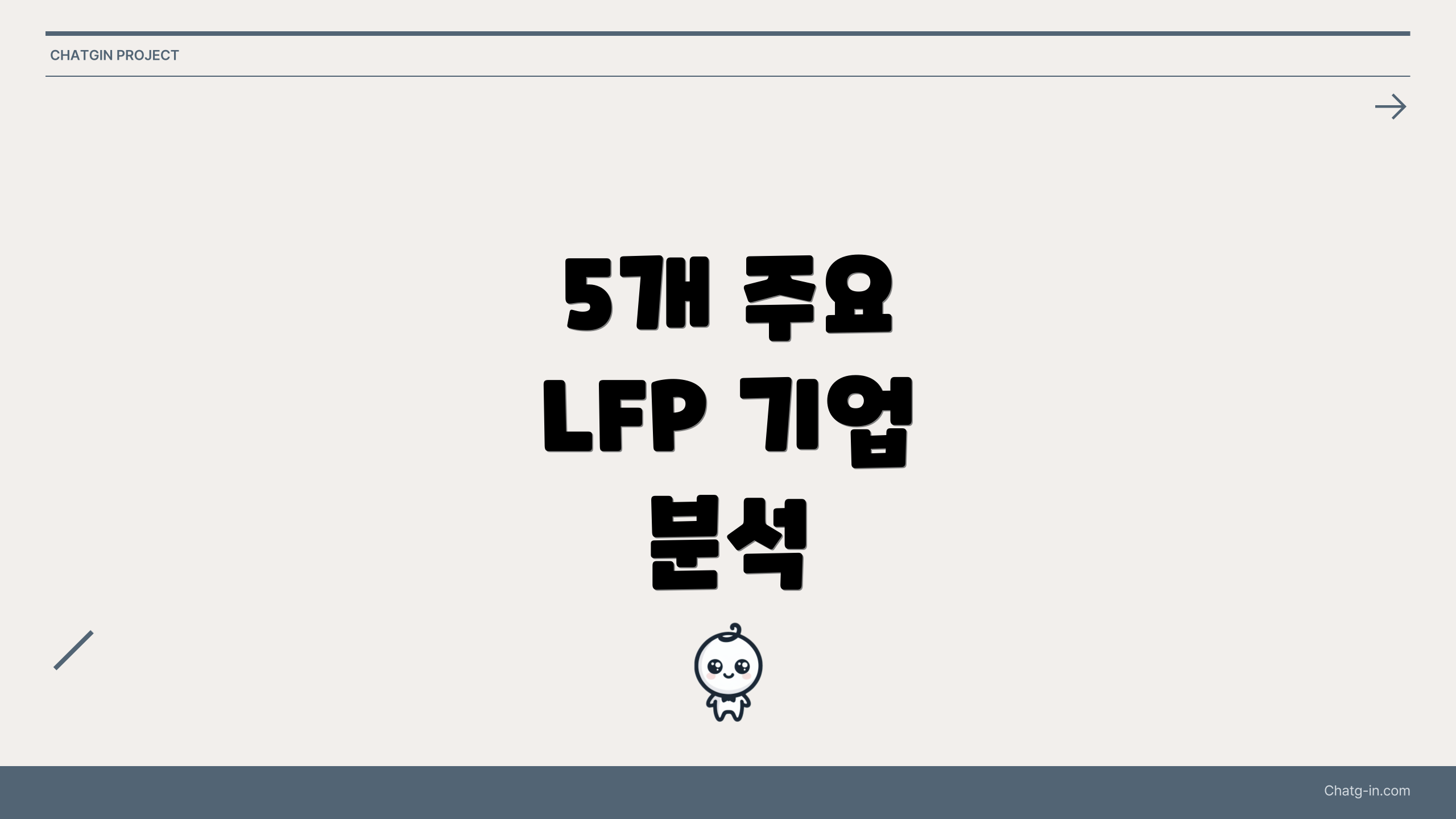 5개 주요 LFP 기업 분석