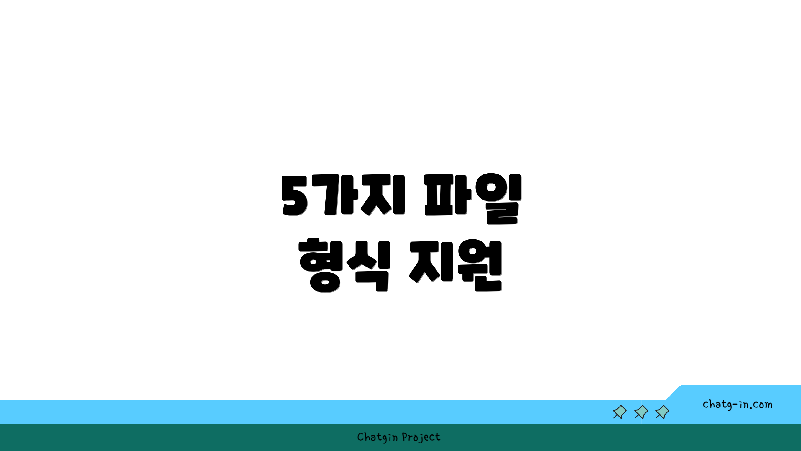 5가지 파일 형식 지원