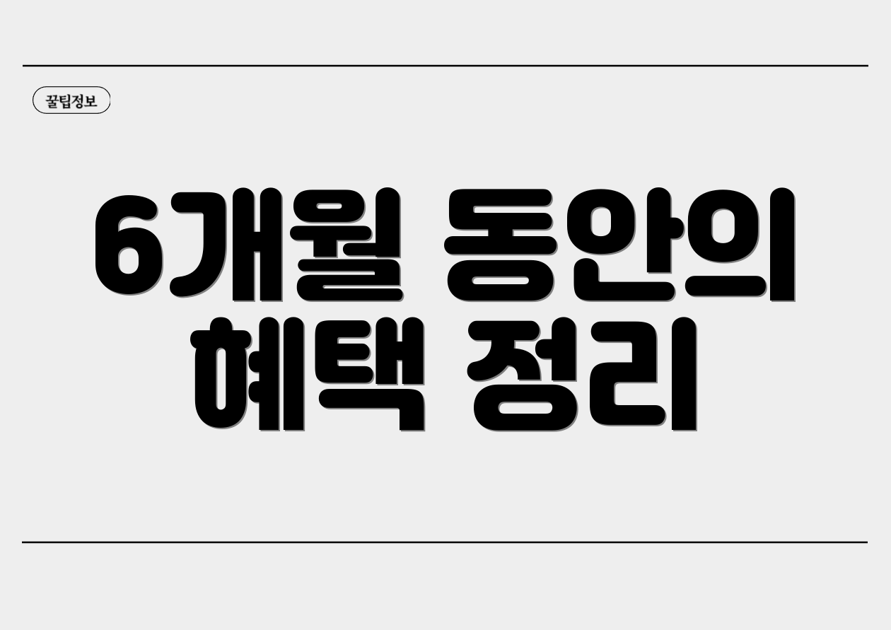 6개월 동안의 혜택 정리