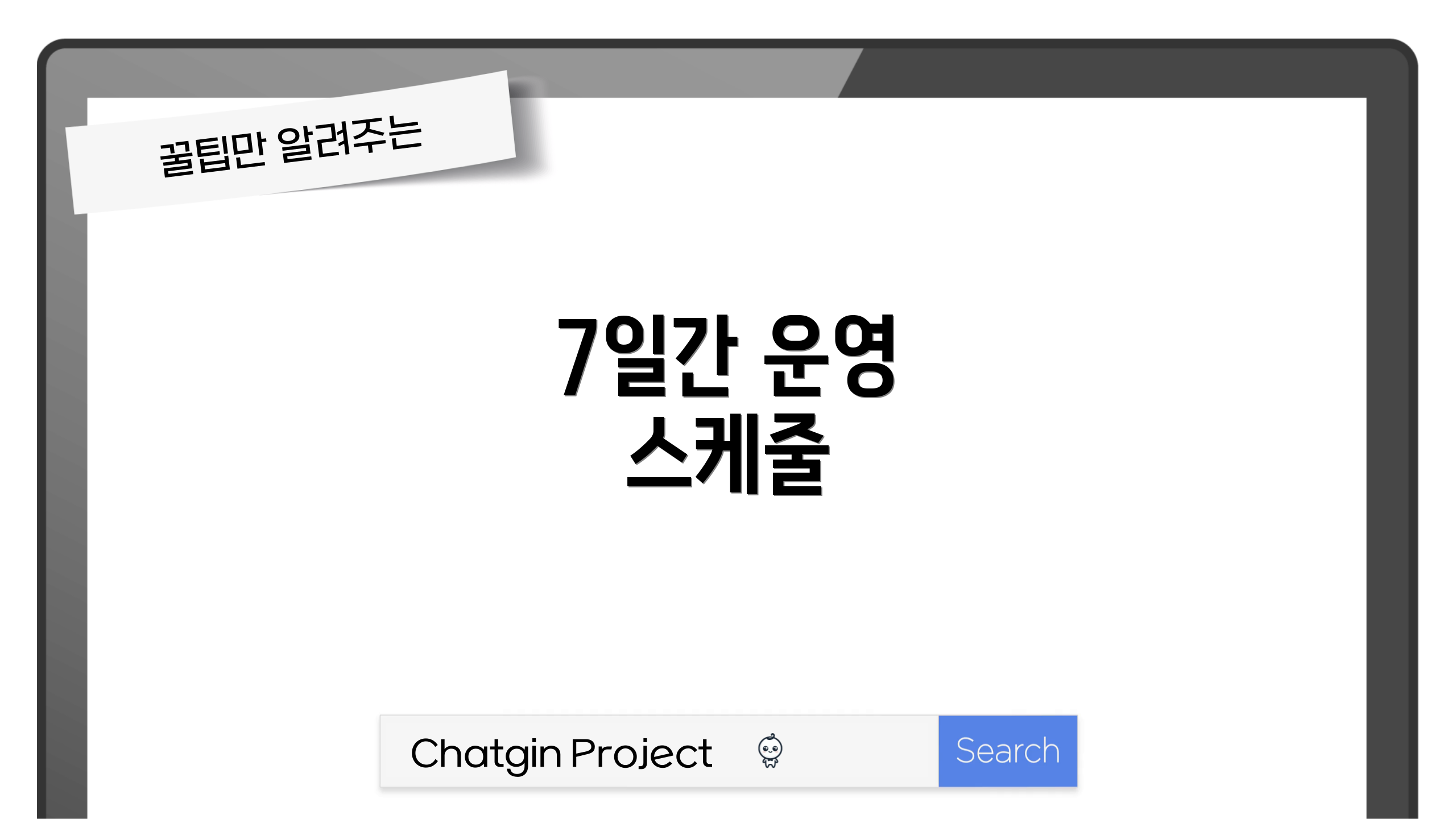7일간 운영 스케줄