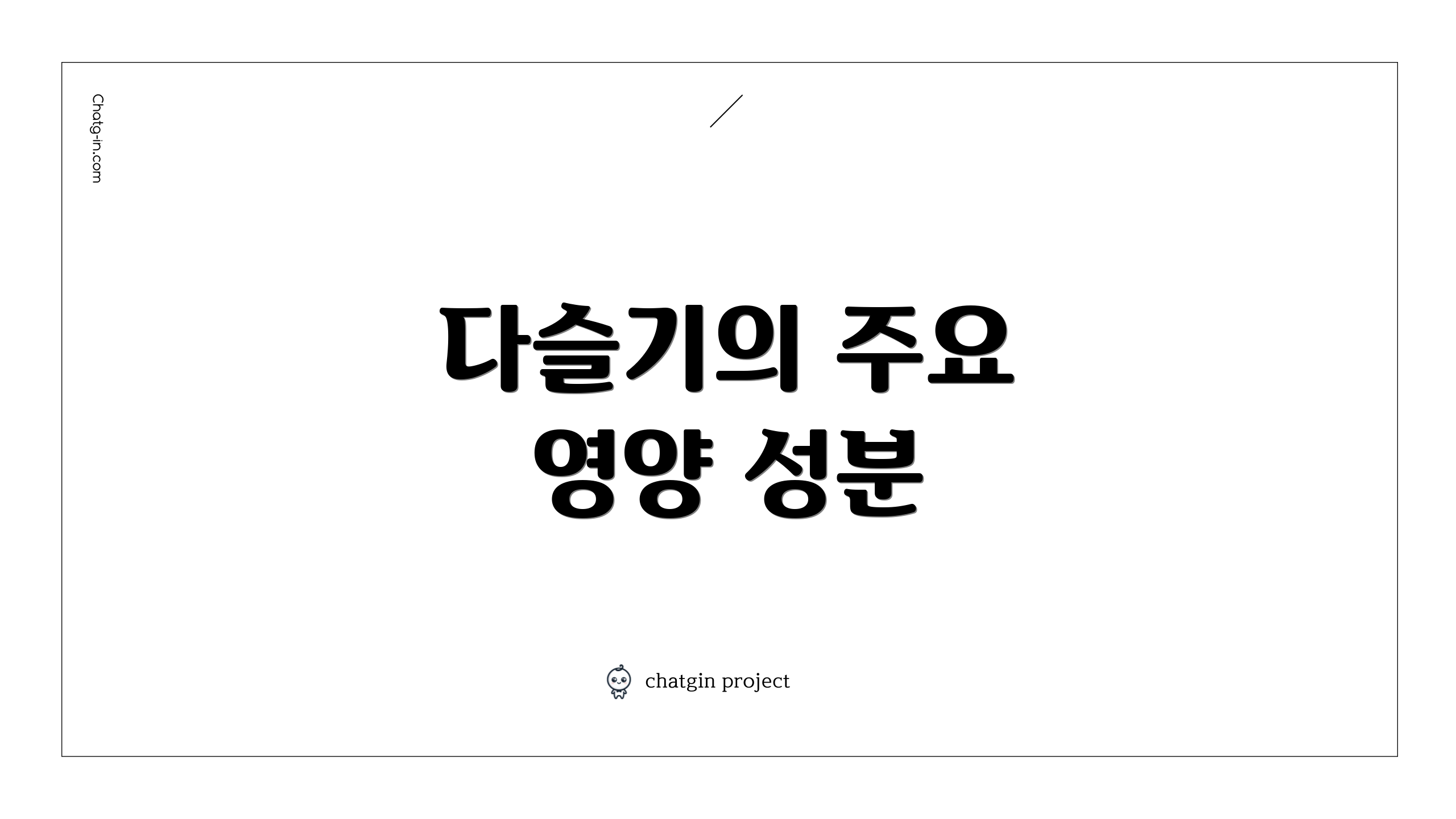 다슬기의 주요 영양 성분