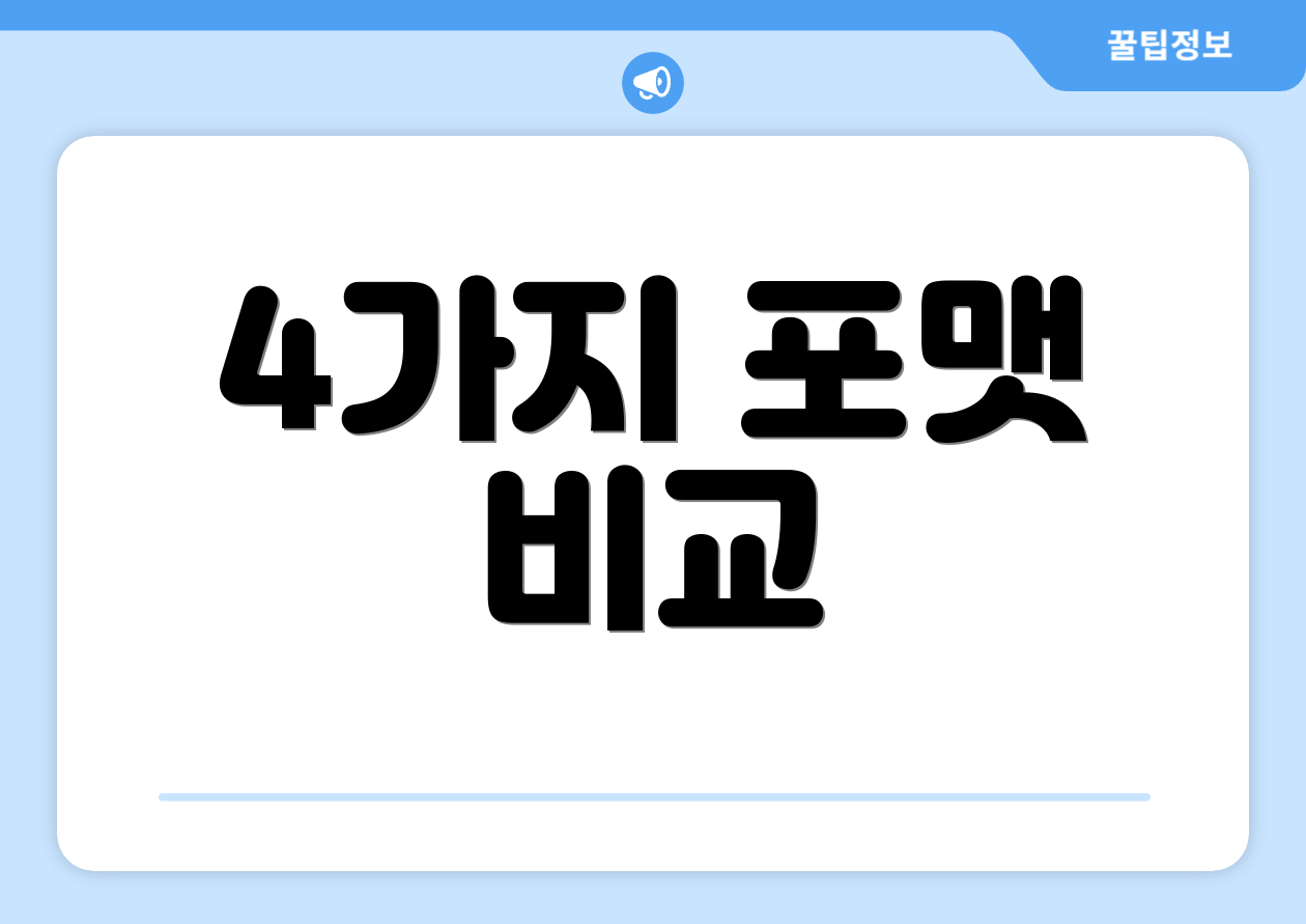 4가지 포맷 비교