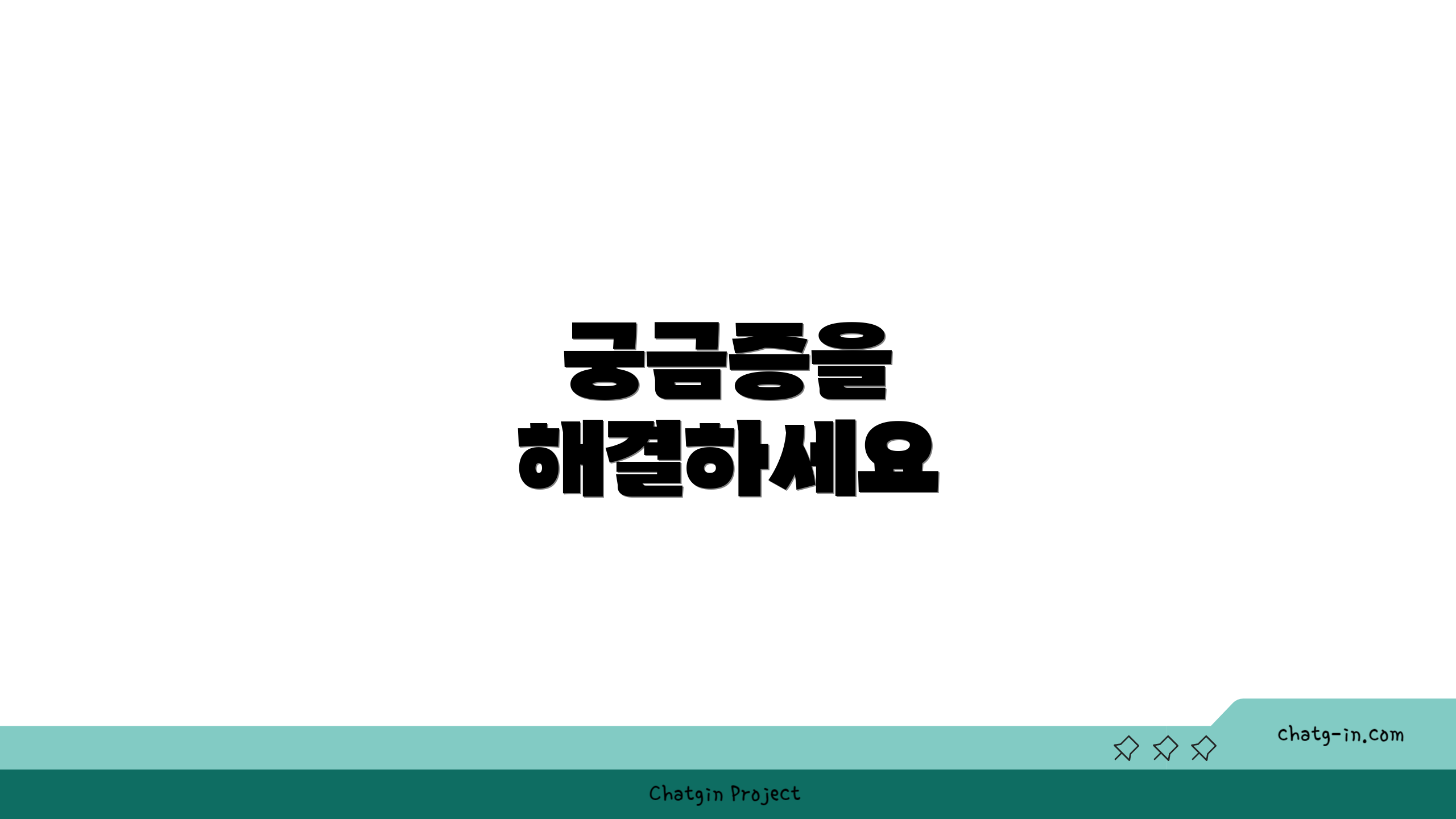 궁금증을 해결하세요