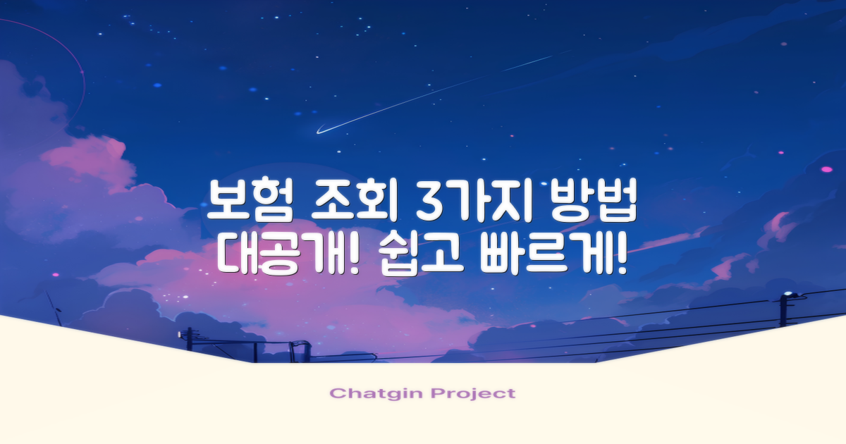 3가지 보험조회 방식