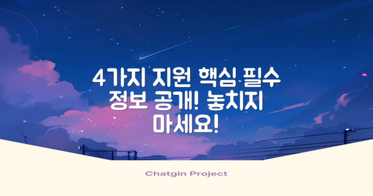 4가지 주요 지원 내용