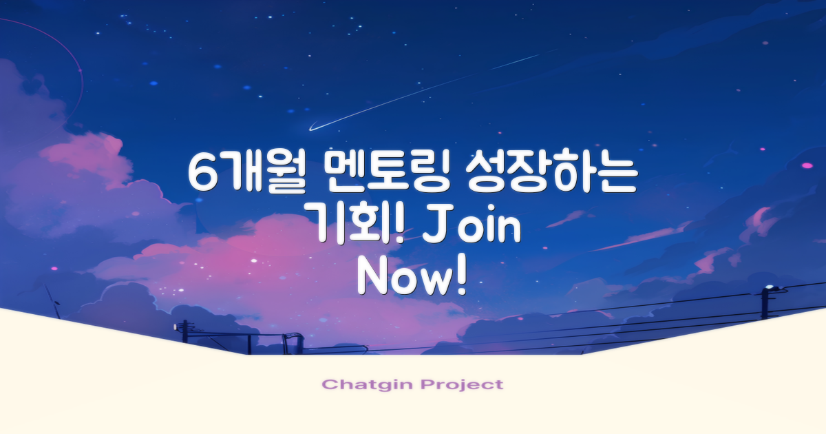 6개월 멘토링 프로그램 소개