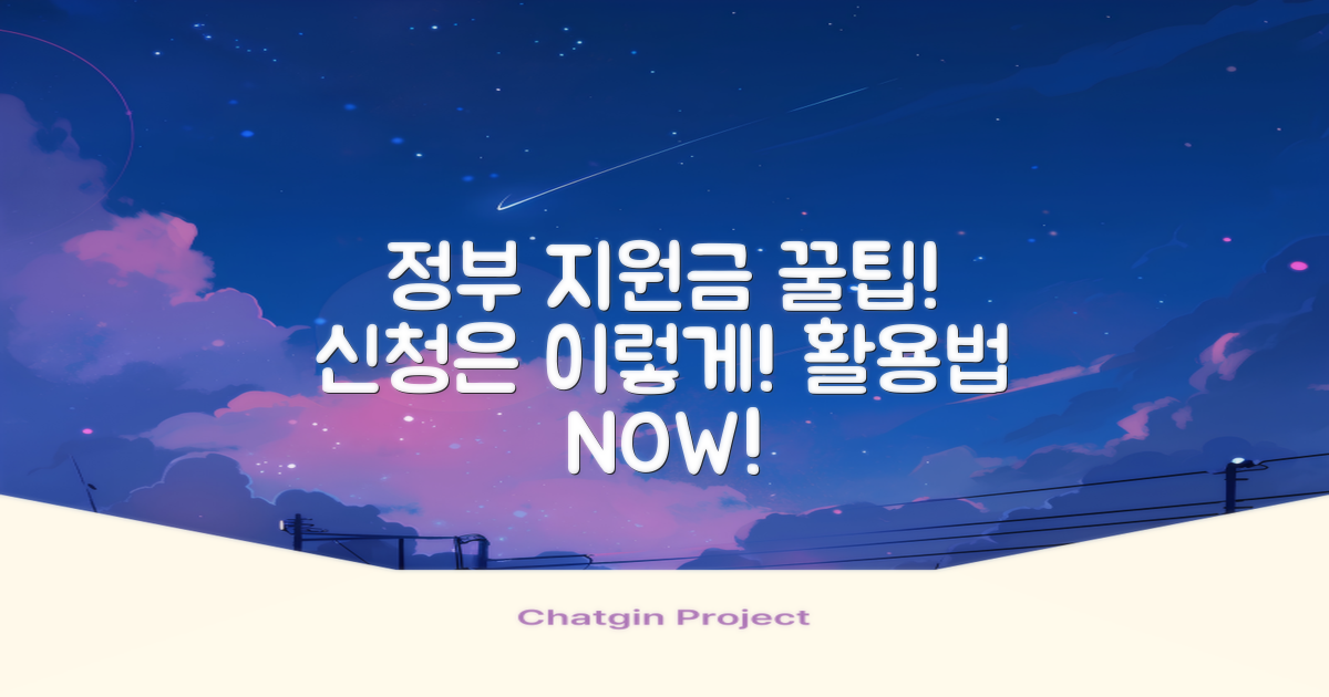정부 지원금 활용법