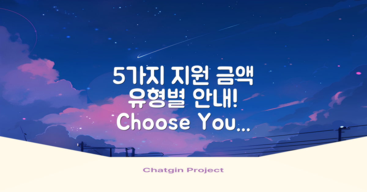 5가지 지원 금액 유형