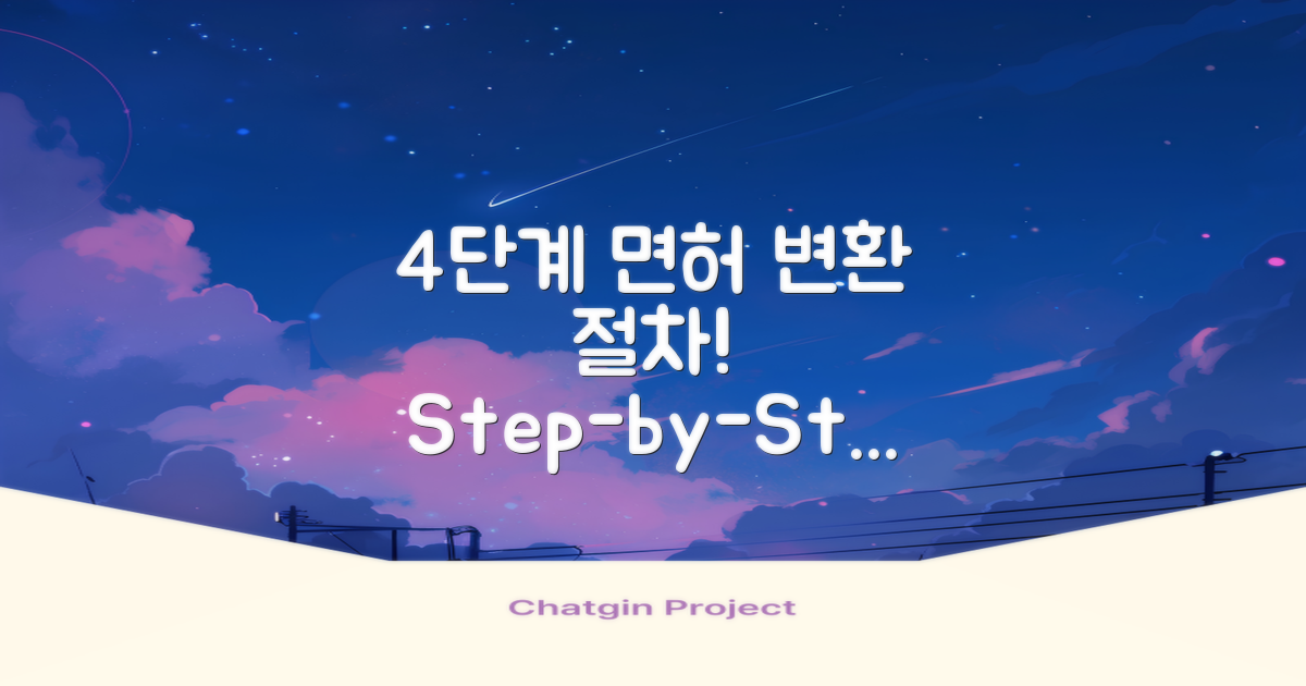 4단계 면허 변환 절차