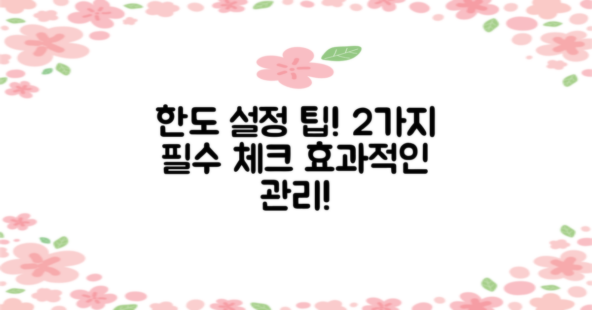2가지 한도 설정 팁