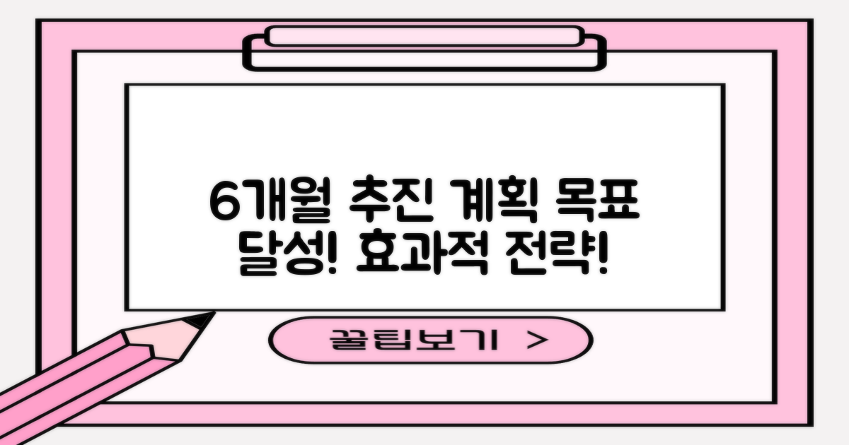 6개월 간의 추진 계획